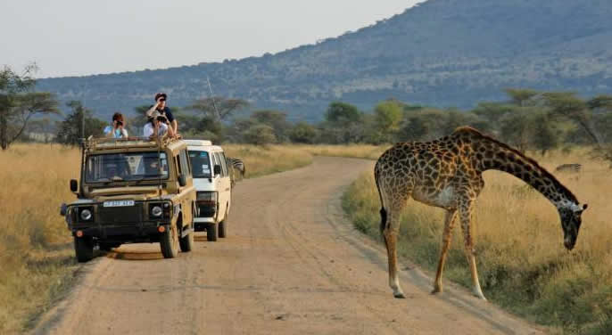 Game drives in Murchison falls