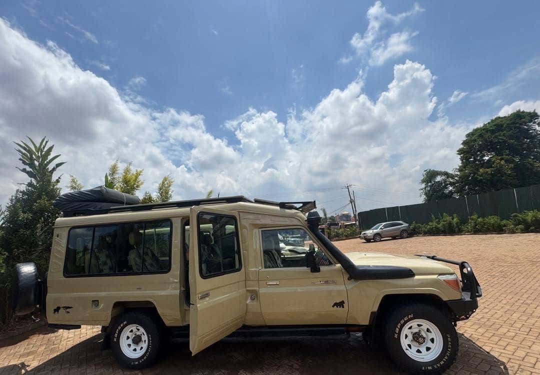 Safari land cruiser